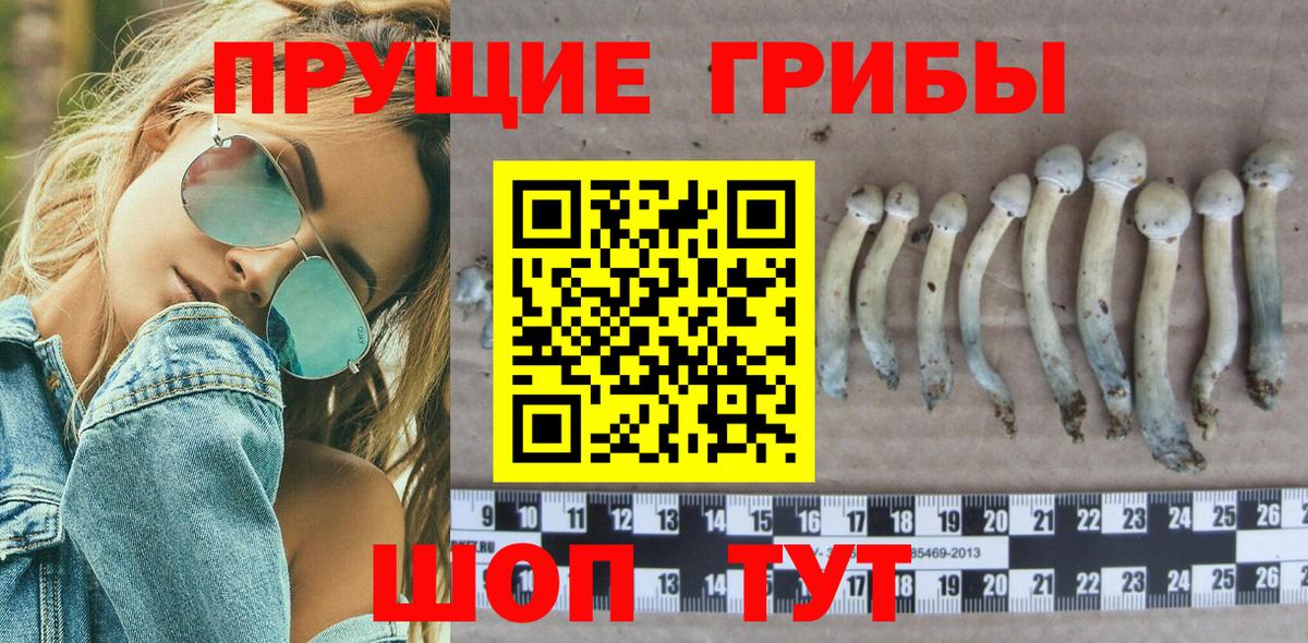 Галлюциногенные грибы Magic Shrooms Арзамас